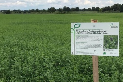 Feldschild am Feldrand. Foto: Johannes Weiß, Naturland Beratung