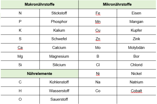 Tabelle 1: Nährelemente, Makro-, Mikronährstoffe, verändert nach Schubert (2018)