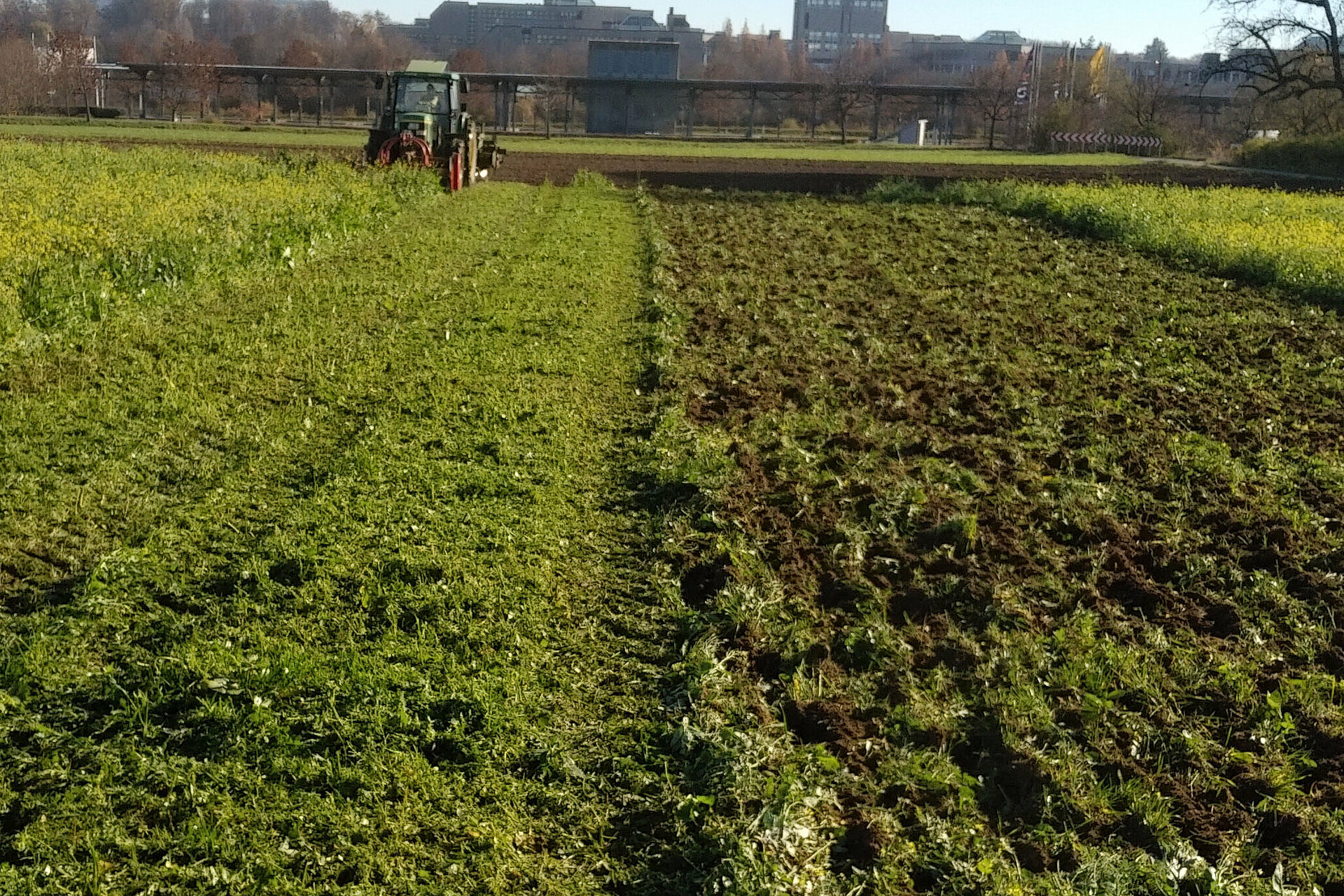 Traktor auf Feld, Foto: Janis Böll, Demeter e.V.