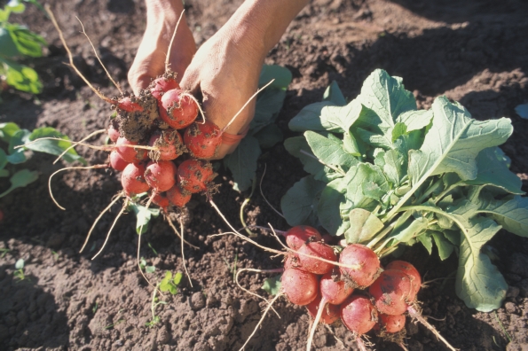 ©BLE, Bonn/Foto: Dominic Menzler