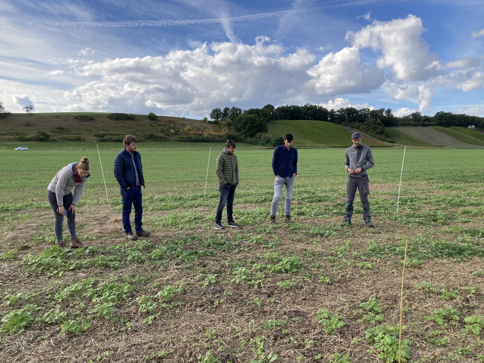 Gruppe von Landwirten auf Ackerfläche